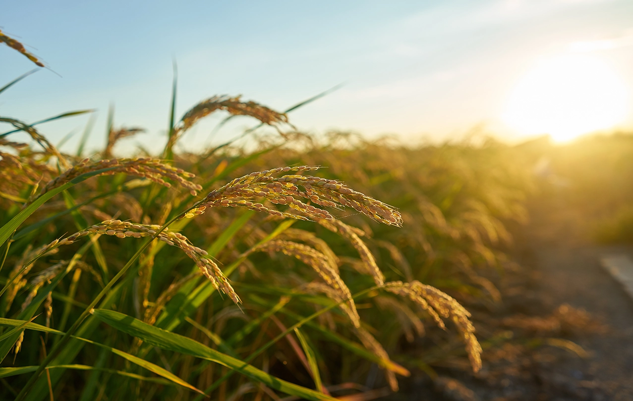 Agropoint Bulgaria Ltd