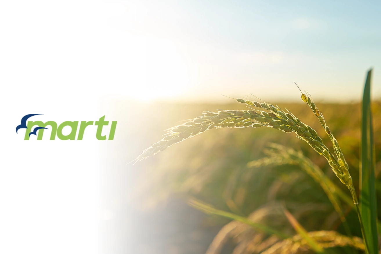 Marti GMBH